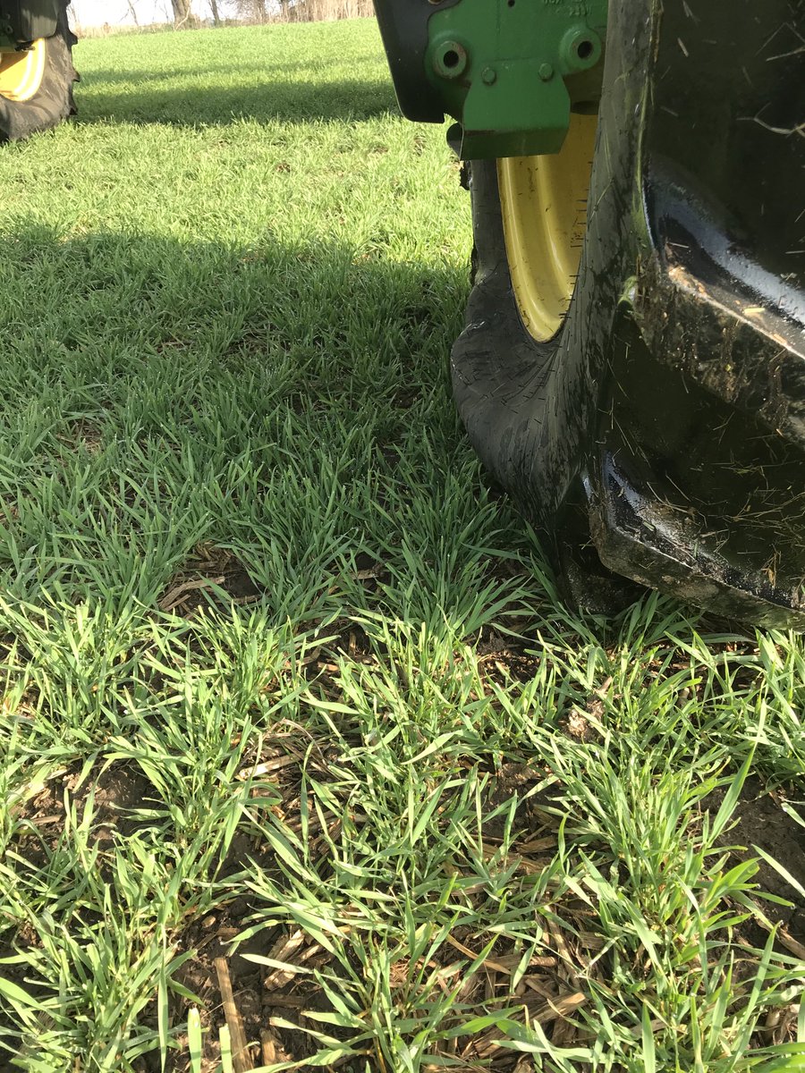 ssickle's tweet image. If you’re not squatting are you really floating? #treadright #ctis