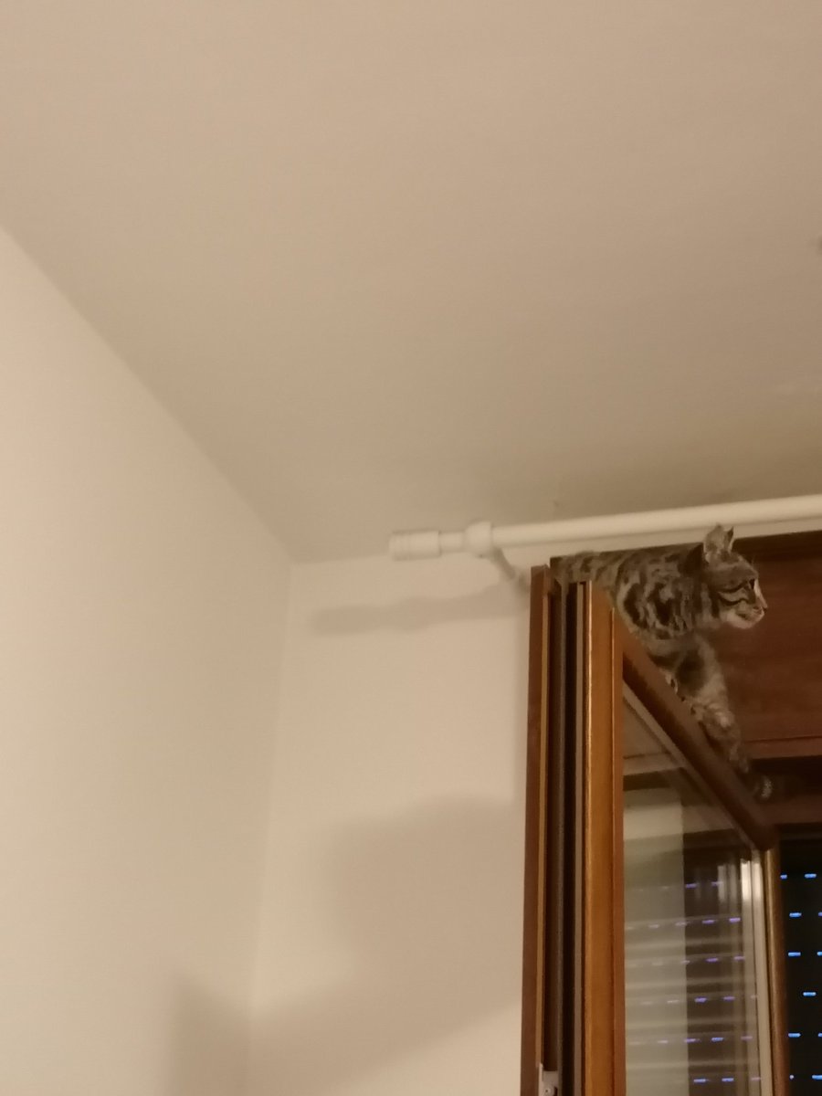 sideshowLukeP's tweet image. Sì