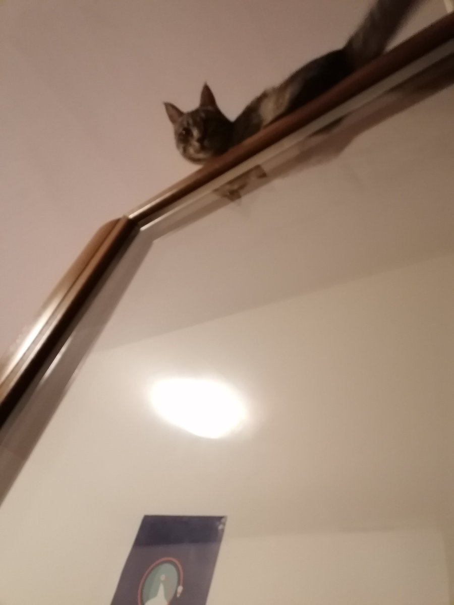 sideshowLukeP's tweet image. Sì