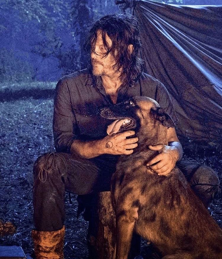 sorry_no_pie's tweet photo. Missing them LOTS
#DarylDixon #DogDixon #DarylandDog #TheWalkingDead https://t.co/2qi2zig8ts