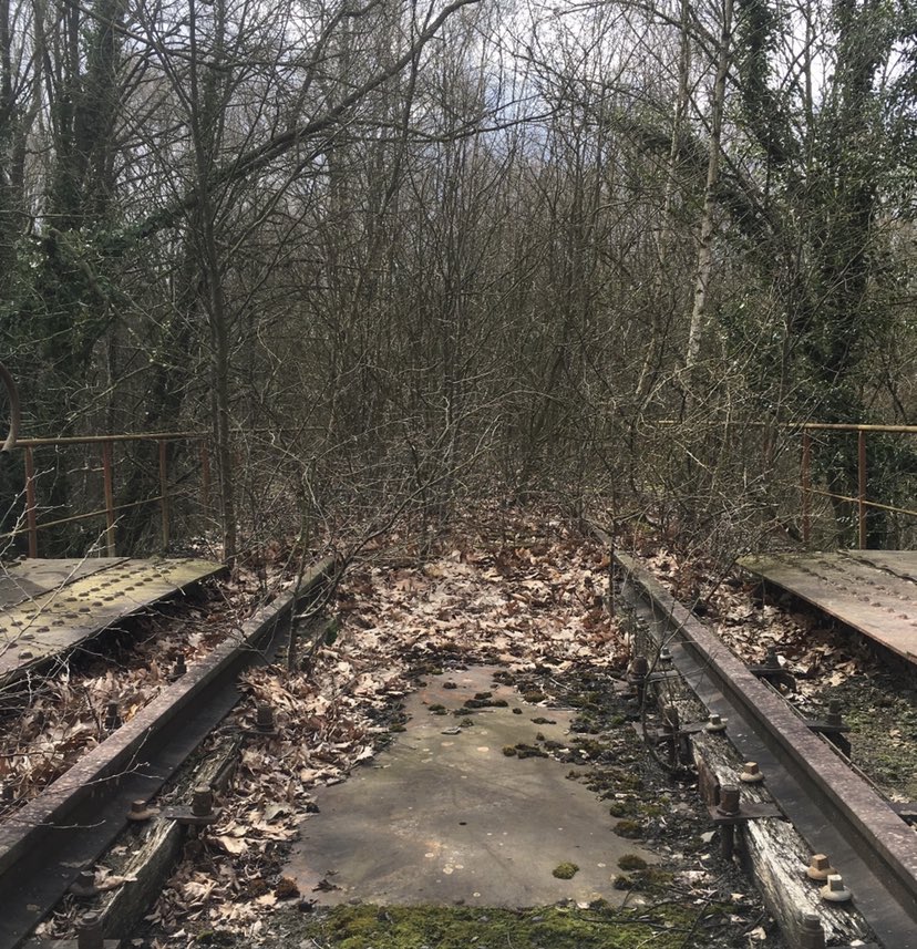 Ian Cleverly tweet media