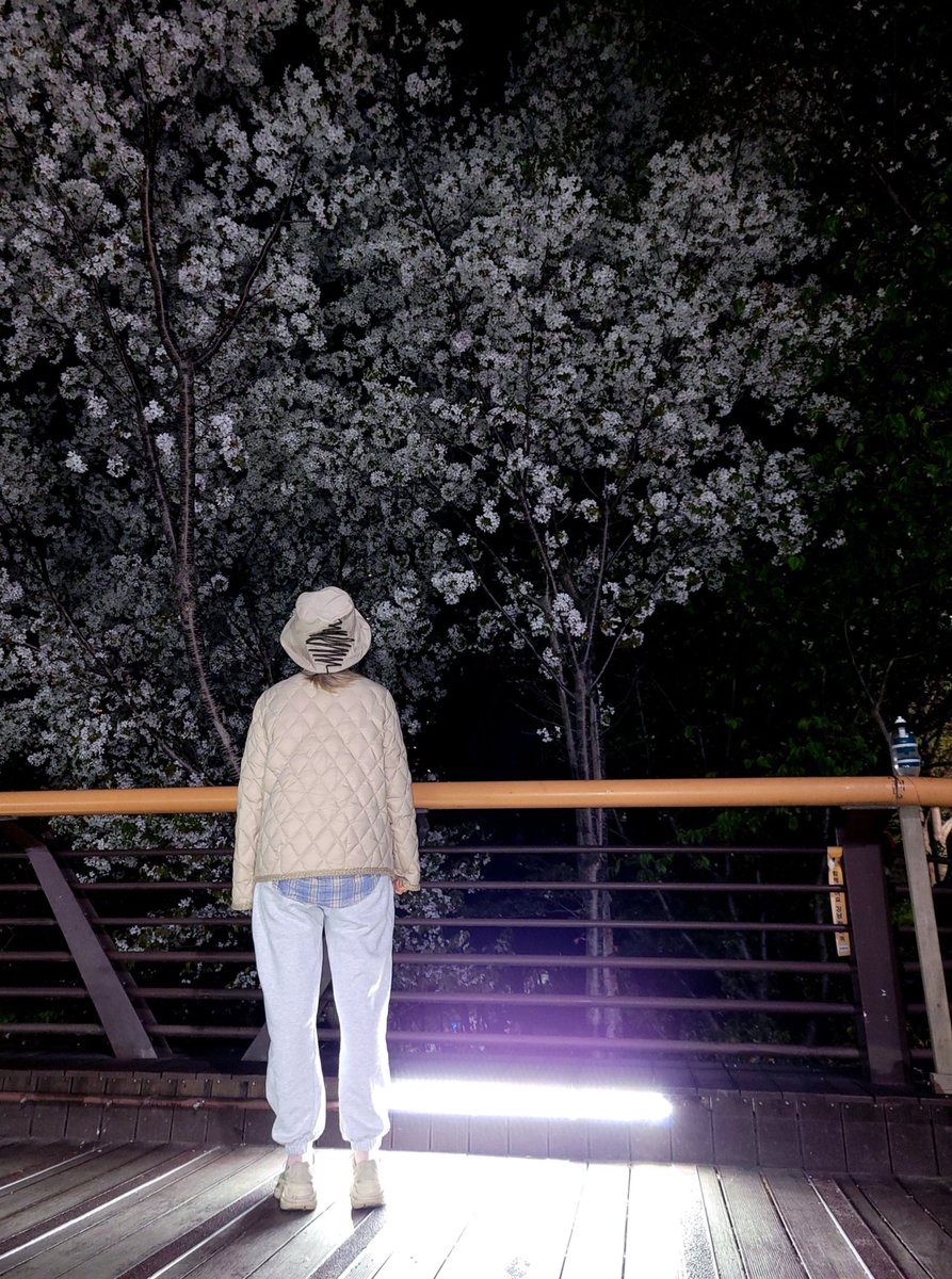 Vers_sy's tweet photo. 벚꽃 잡는 애기ㅠㅠㅠㅠㅠ기여워 https://t.co/oxlXREa6O1