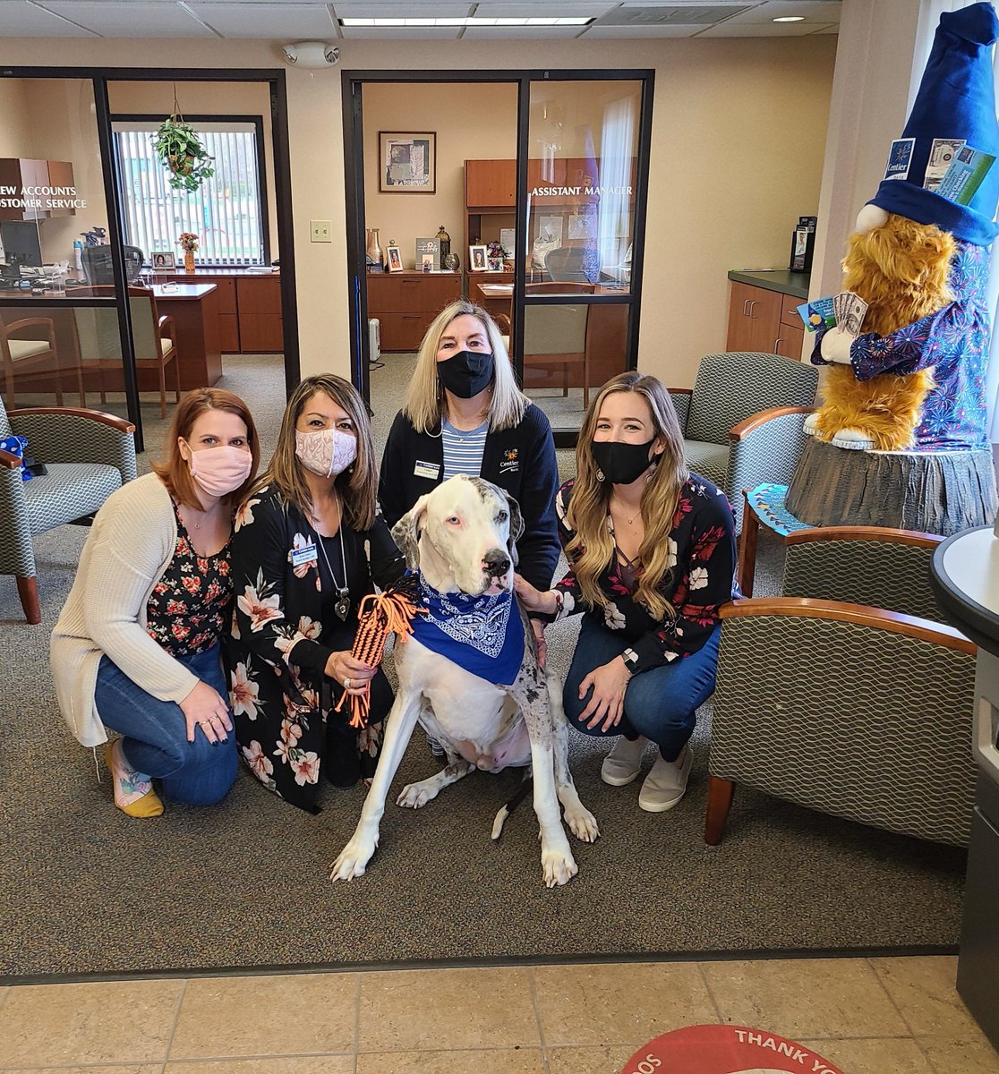 CentierBank's tweet photo. One of our favorite four-legged #Chesterton South clients, Logan, made it to the finals for this year's @CadburyUSA Bunny Tryouts, and we are so proud of him that we congratulated him with a Centier dog bandana and a new chew toy! #IndianaPets #commUNITYbanking #FunAtCentier https://t.co/oNNGxDg9z7