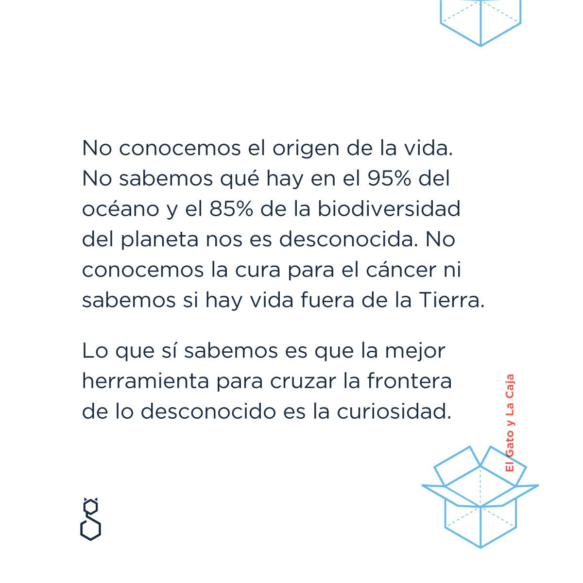 El Gato y La Caja tweet media