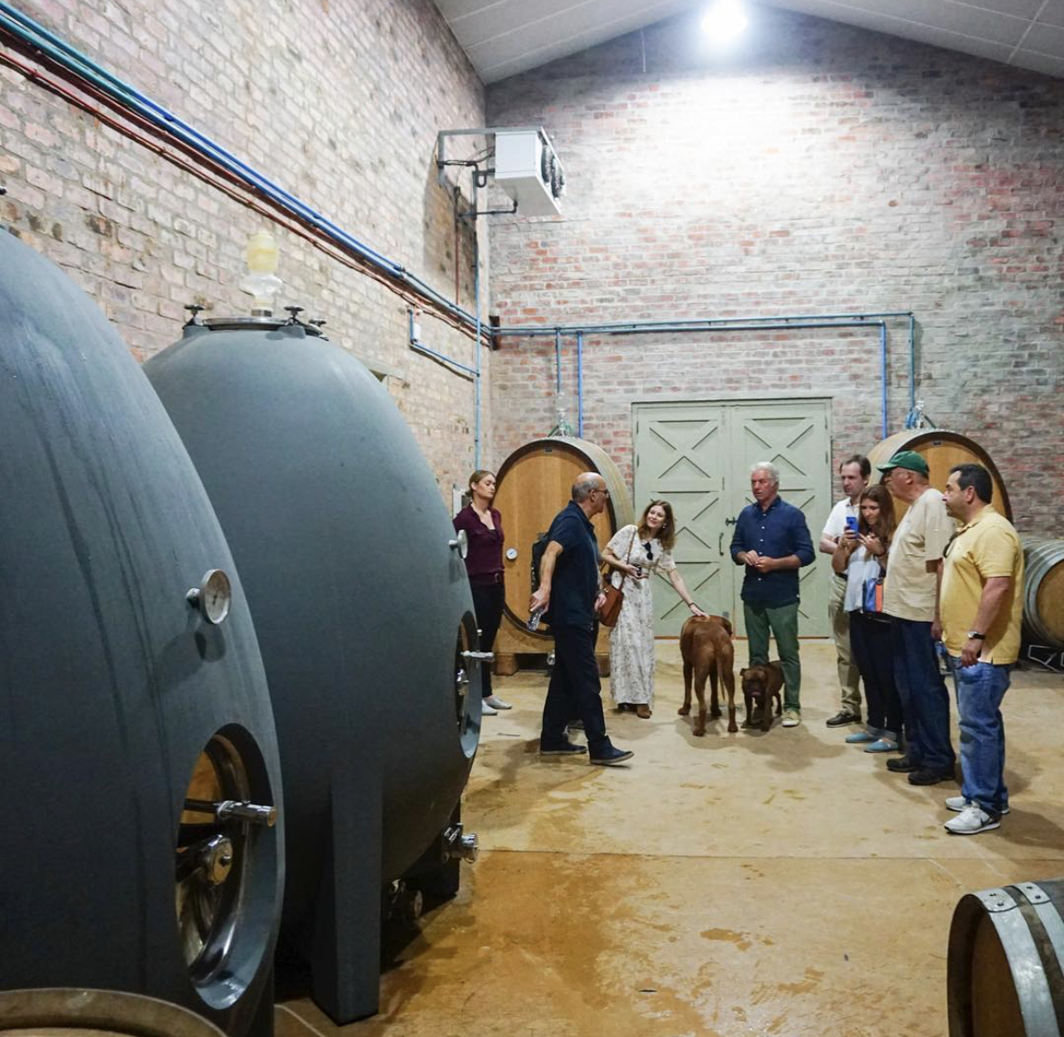 Our Waterford Chenin Blanc is made in these Concrete Eggs to accentuate the vineyards character, the <a href="/oldvineproject/">Old Vine Project</a> Chenin is a true expression of the terroir in which some of the vines have been growing since 1966: waterfordestate.co.za/wine/white/wat… <a href="/oldvineproject/">Old Vine Project</a>