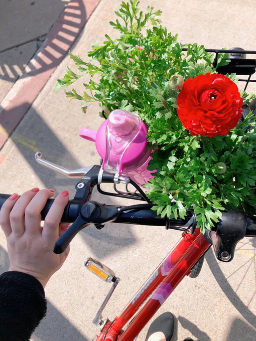 I went on a 5 hour bike ride yesterday and the only stop I made was to buy flowers https://t.co/R1TE