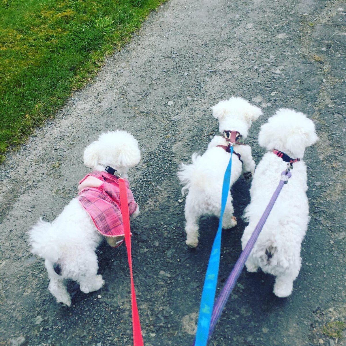 Jacqui Taaffe - INSPIRE HEAL EMPOWER tweet media