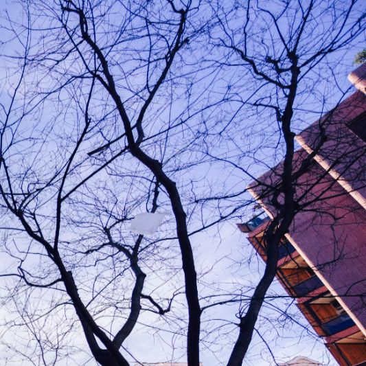 Madrid Luxury District (@madridluxuryd) on Twitter photo 