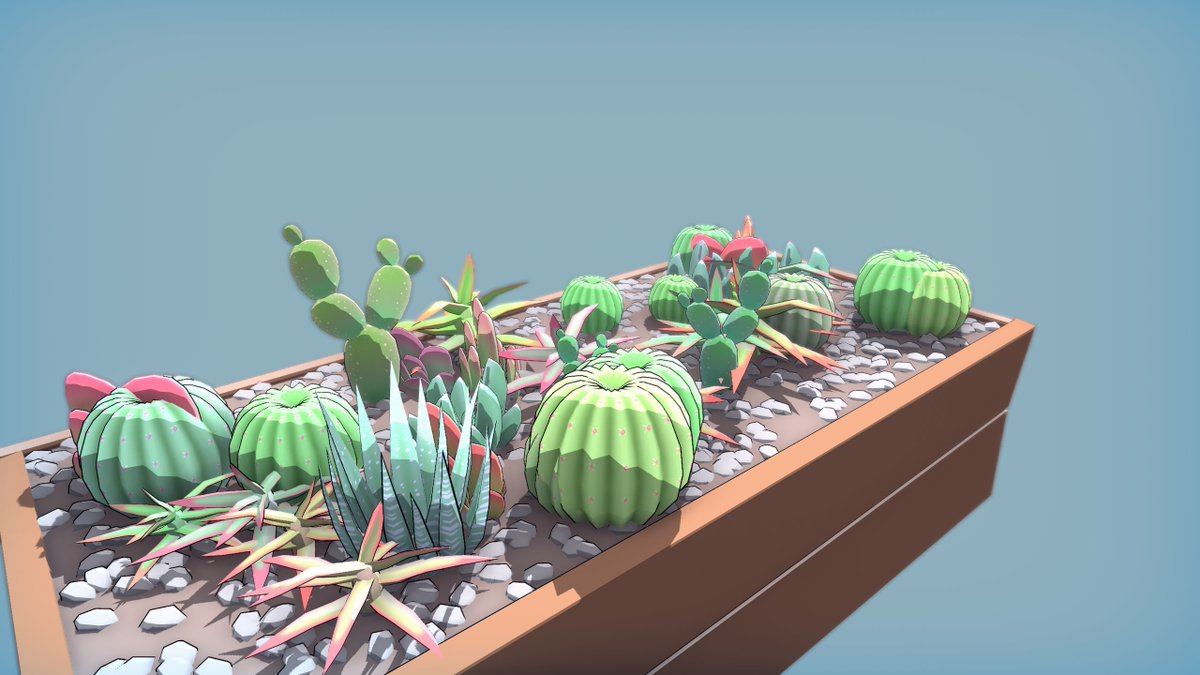 konrad_thomson's tweet photo. Succulents Chillin https://t.co/0WJ9vmy5gR