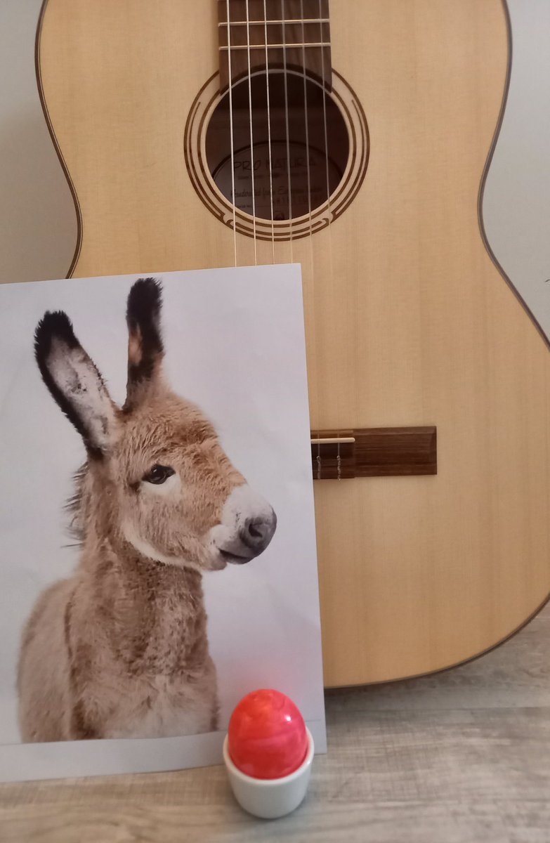 "Mamas, sehr freie, Interpretation der Bremer Stadtmusikanten mit den #KnuddelRabauken!"

Danke, dass ihr uns folgt! Uns zum schmunzeln &amp; lachen bringt, teilnehmt an unserem Alltag! Großer Knuddel für alle! 😘

Wir freuen uns, wenn wir ein bisschen Freude verbreiten können!
