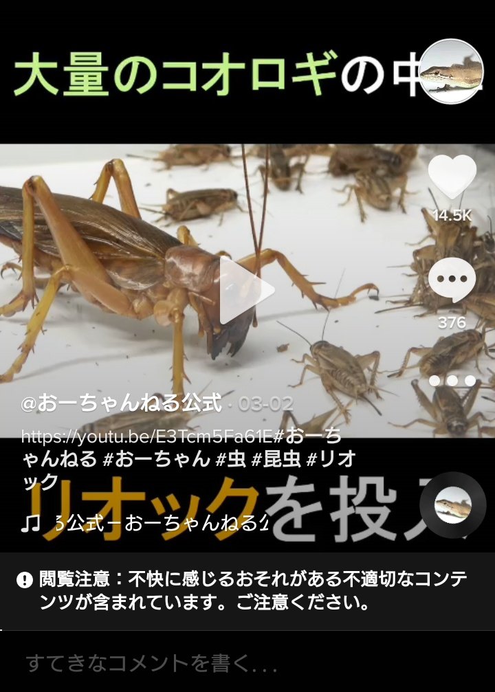 おーちゃん 昆虫採集の神様 あ おーちゃん 昆虫採集の神様 あ
