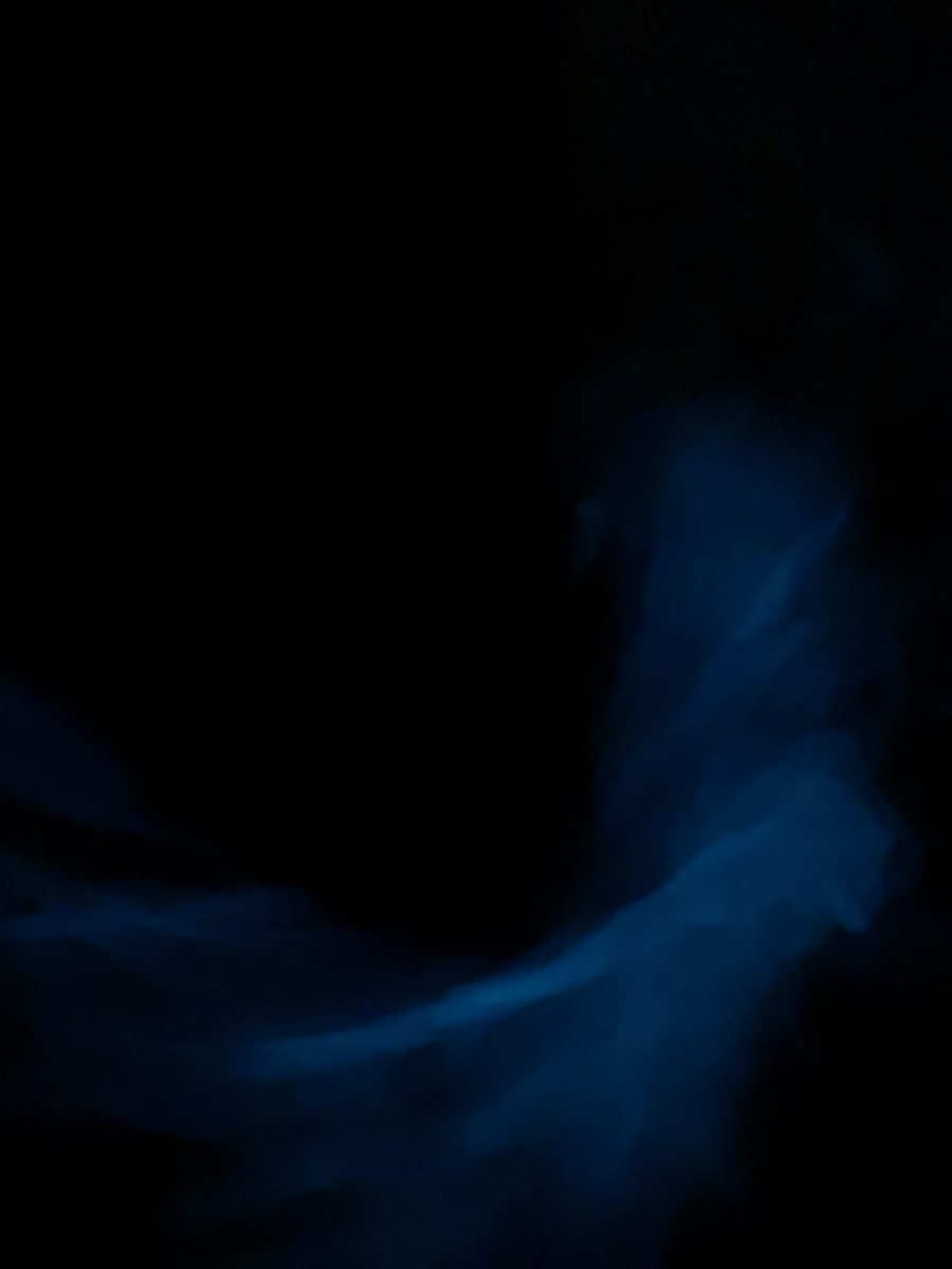 AMPMIRAMARE's tweet photo. Marea rossa oggi a #Grignano: un bloom primaverile di Noctiluca scintilans, alga unicellulare bioluminescente potenzialmente tossica per gli organismi marini, ha colorato le acque del porticciolo, vicino all'AMP. Il fenomeno per il momento sembra circoscritto. https://t.co/crfVmW2TMC