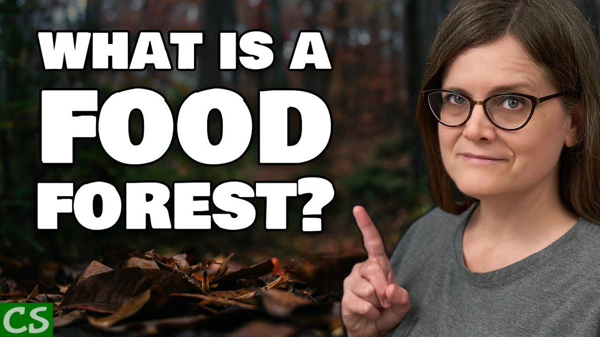 City Steading tweet media