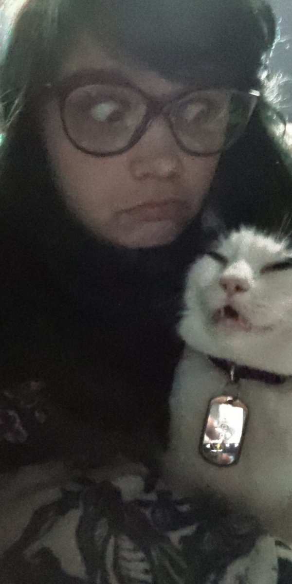 litti_biskitti's tweet photo. Low quality pic of our high quality relationship. #kinggreg #catmom #Caturday https://t.co/JH2FWKfqZS