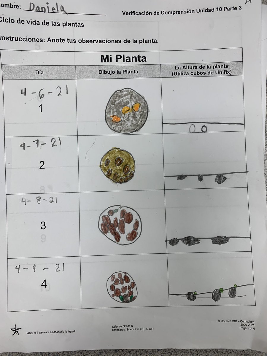 bburgoso's tweet photo. #ScienceMathWork #UsingTheSenses #CrosCurriculum #SolvingWordProblems #UsingStrategies #MyKinderEaglets #LoveWhatIDo ❤️❤️@rmena_97 @HISD_ElemMath @HISD_ElemSci https://t.co/eqNCnUpjI9