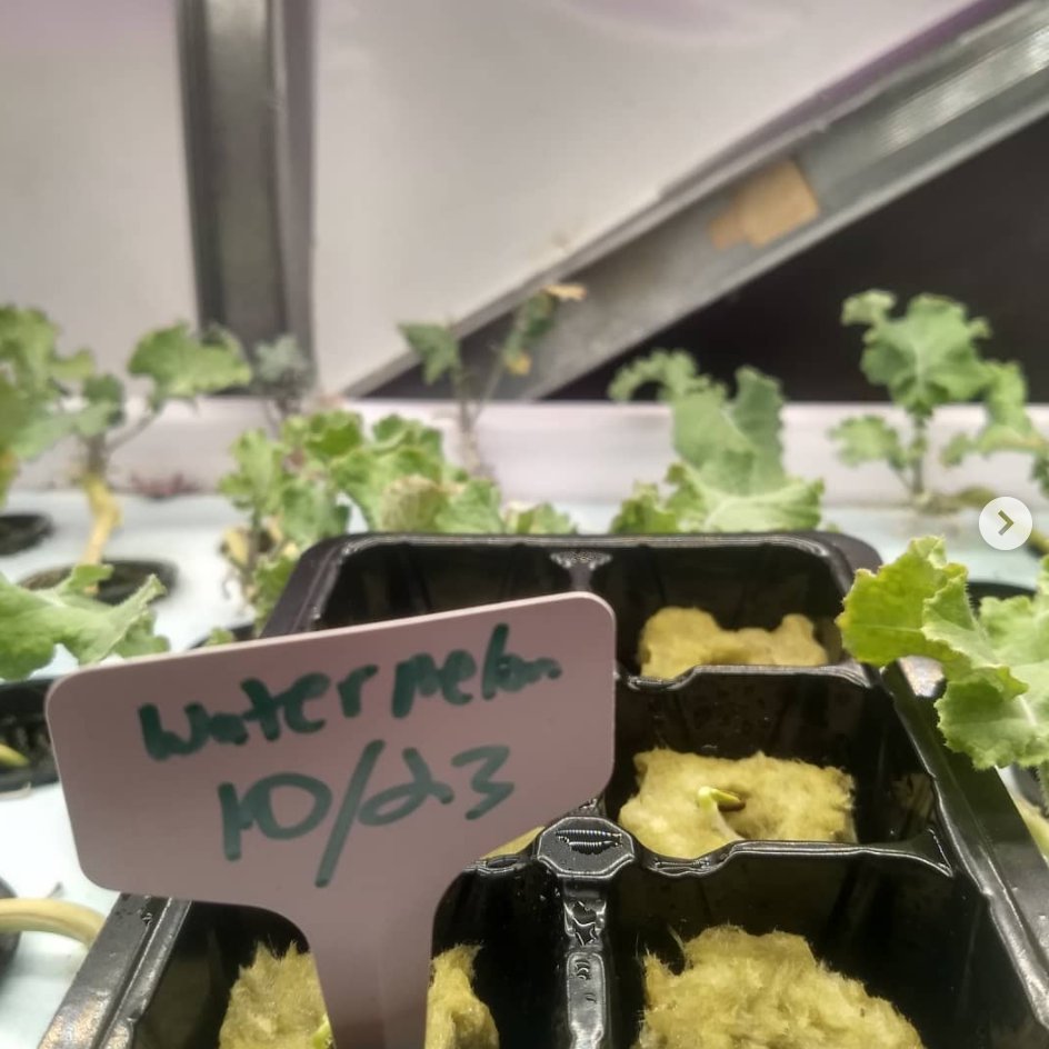 NYU Tandon tweet media