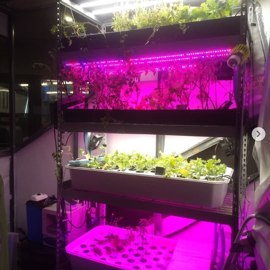 NYU Tandon tweet media