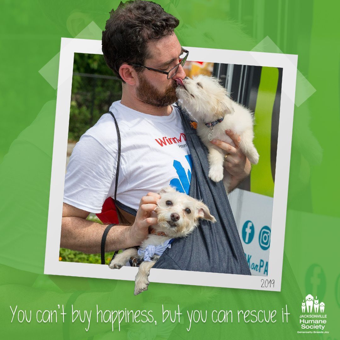 jaxhumane's tweet photo. Today’s the big day for the goodest boys and girls – Mutt Market is finally here! 
Grab your face masks, dog leashes and hit the road. 😀🐾

See you soon! 
*Masks and social distancing required.

#MuttMarket #JaxHumane https://t.co/wCEaczwbmf
