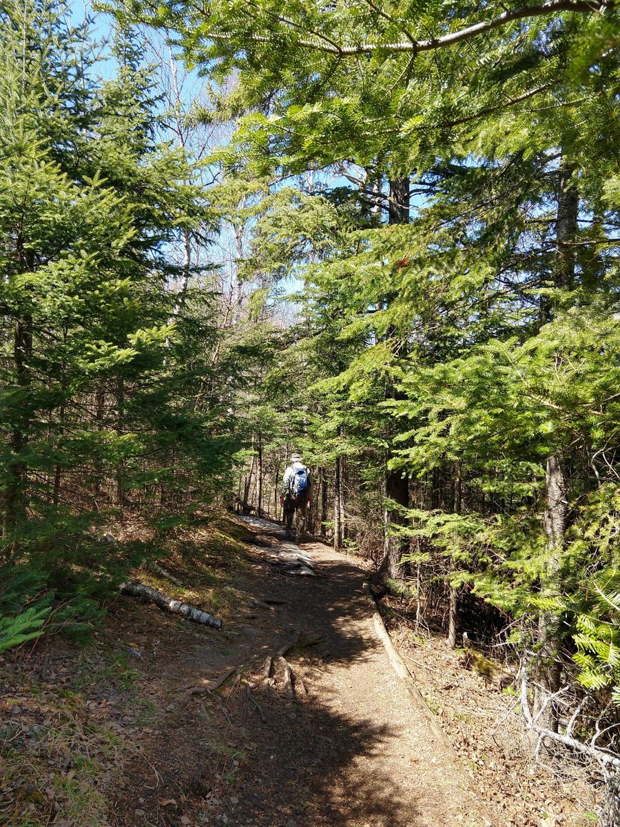SuperiorNF's tweet photo. This is your land. Please remember to #recreateresponsibly when you're out exploring this weekend. 🙏 #hikeMN #SuperiorNF
📷: Hiking on Oberg Hiking Trail/USFS. https://t.co/j2gt2qYfjW