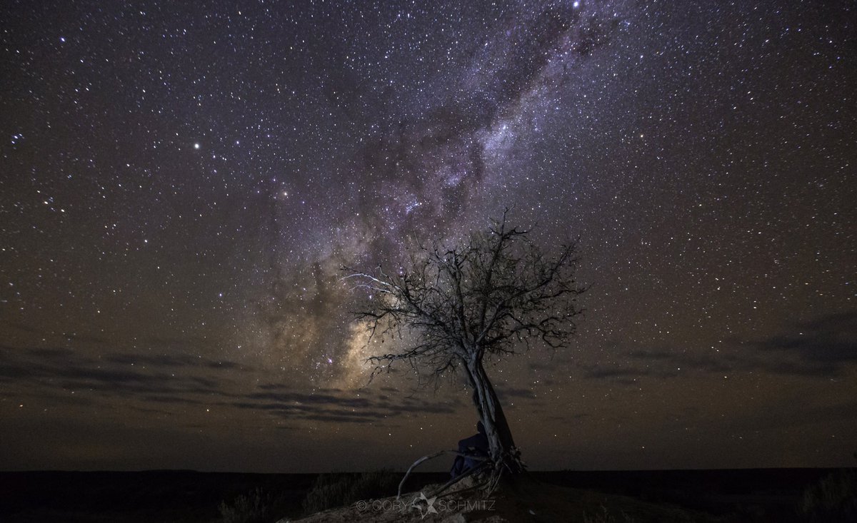 There's been renewed interest in an old time-lapse clip of mine recently, (shared by @_Astro_Nerd_, thanks!).

While scrolling through images, I found this self-portrait of that tree, me, and the Milky Way. It was a nice spot to sit and ponder.

#astrophotography #nightscape