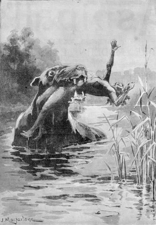 Have you heard of the #bunyip? This fascinating #cryptid is one of the key ingredients in tomorrow’s #cryptozoology special! Make sure you check it out when the episode drops because this week’s samples might just bite you back if you don’t get to them first.