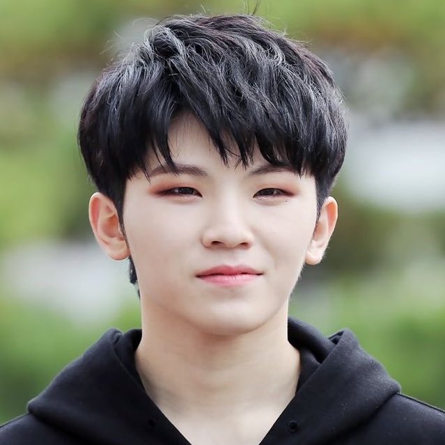 woozi - black mullet / graythe black mullet is almost back pls dont cut/dye your hair pls woozi pls ALSO gray woozi? an icon