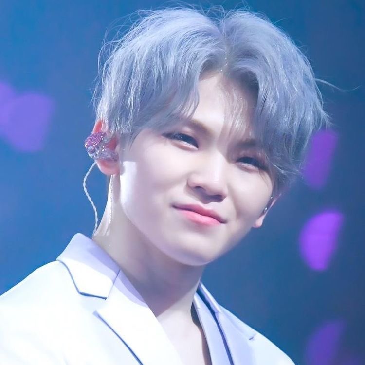 woozi - black mullet / graythe black mullet is almost back pls dont cut/dye your hair pls woozi pls ALSO gray woozi? an icon