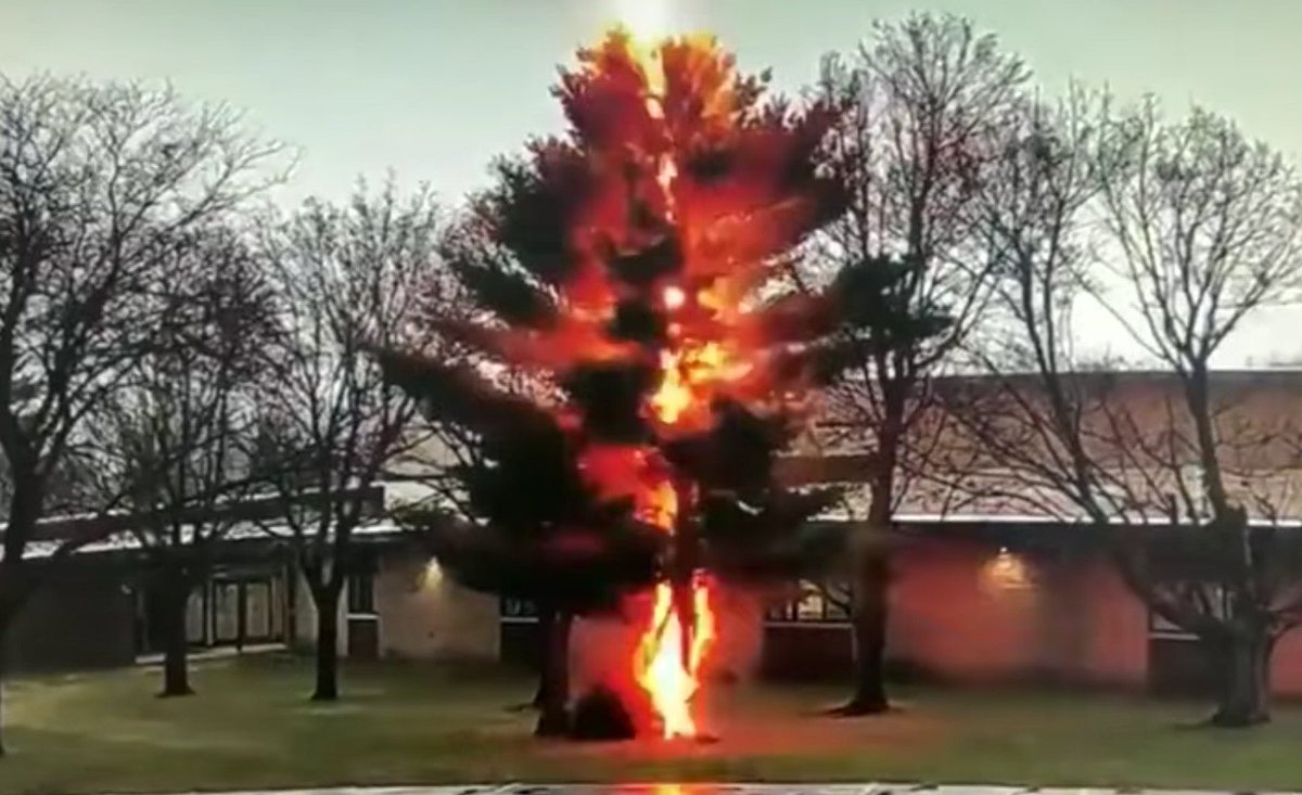 thehill's tweet photo. WATCH: Security camera footage shows lightning strike destroy tree outside high school https://t.co/NFHziXqYzC https://t.co/8aXUy6dDTn