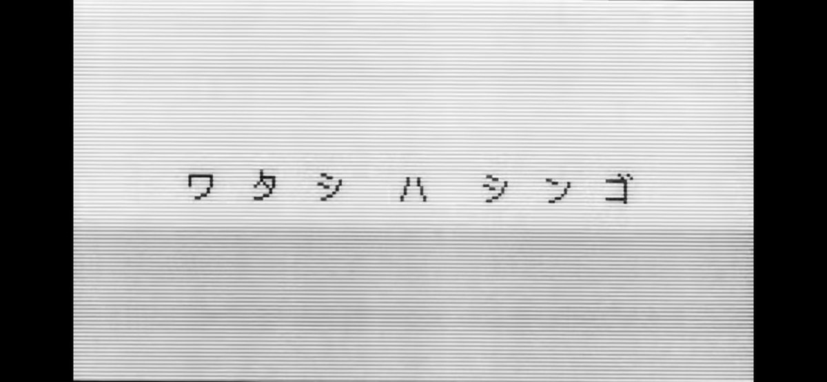 アイムシンゴ tweet media