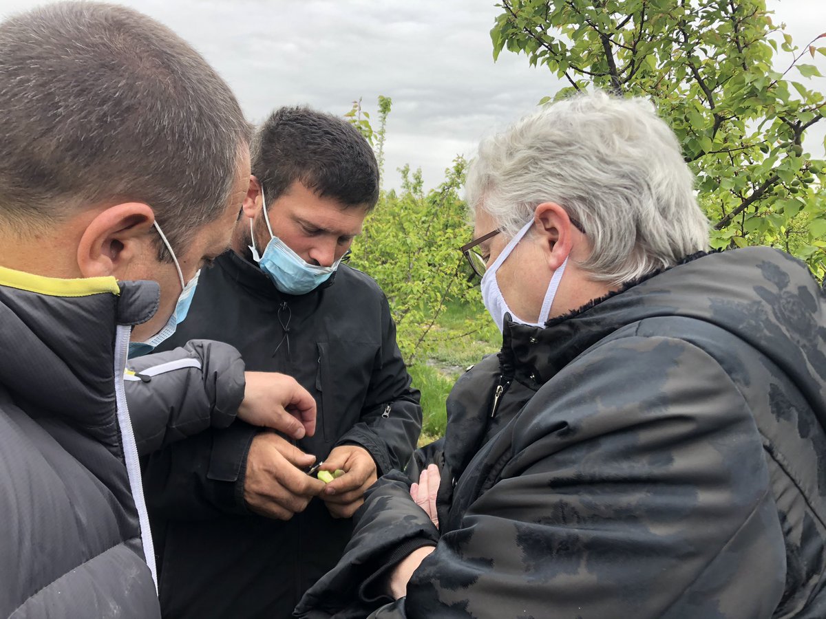 lemouvementinfo's tweet photo. Ce matin, Marie-Francoise Lecaillon @Prefete30 était en visite près de #Bernis et du #Cailar pour rencontrer les agriculteurs et arboriculteurs locaux très durement touchés par l’épisode du #gel ces derniers jours. #agriculture @J_Denormandie #Occitanie https://t.co/jUvb6weQz2