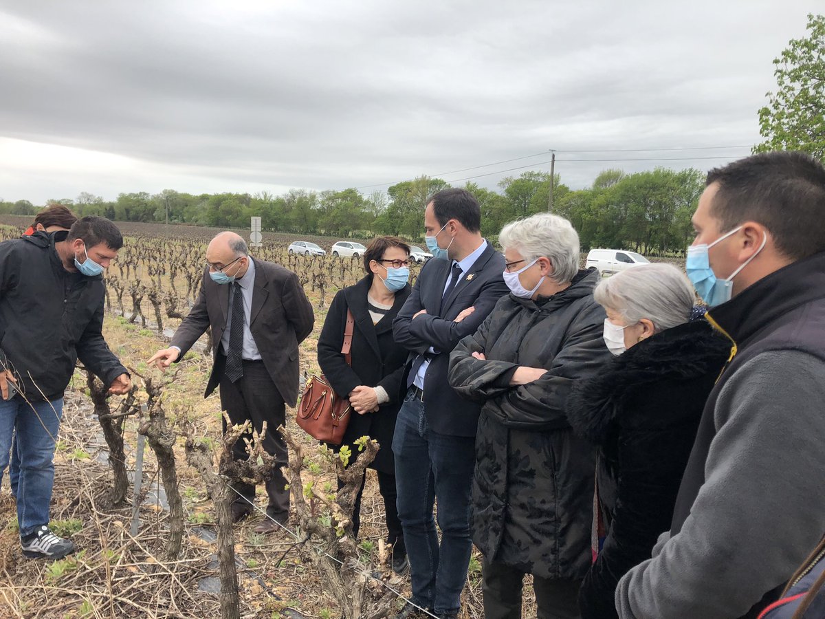 lemouvementinfo's tweet photo. Ce matin, Marie-Francoise Lecaillon @Prefete30 était en visite près de #Bernis et du #Cailar pour rencontrer les agriculteurs et arboriculteurs locaux très durement touchés par l’épisode du #gel ces derniers jours. #agriculture @J_Denormandie #Occitanie https://t.co/jUvb6weQz2