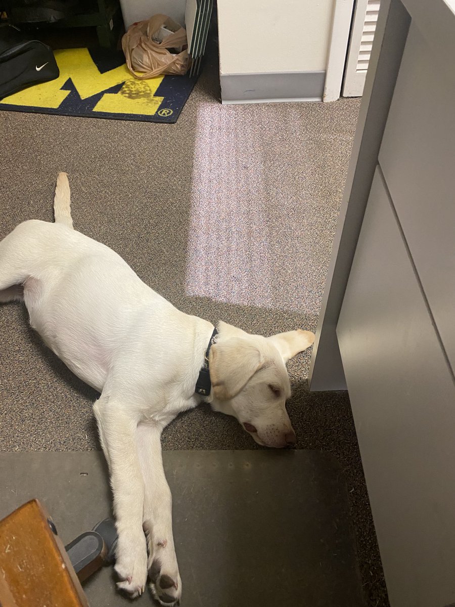 After chasing ducks all morning. Still love my job, all day every day