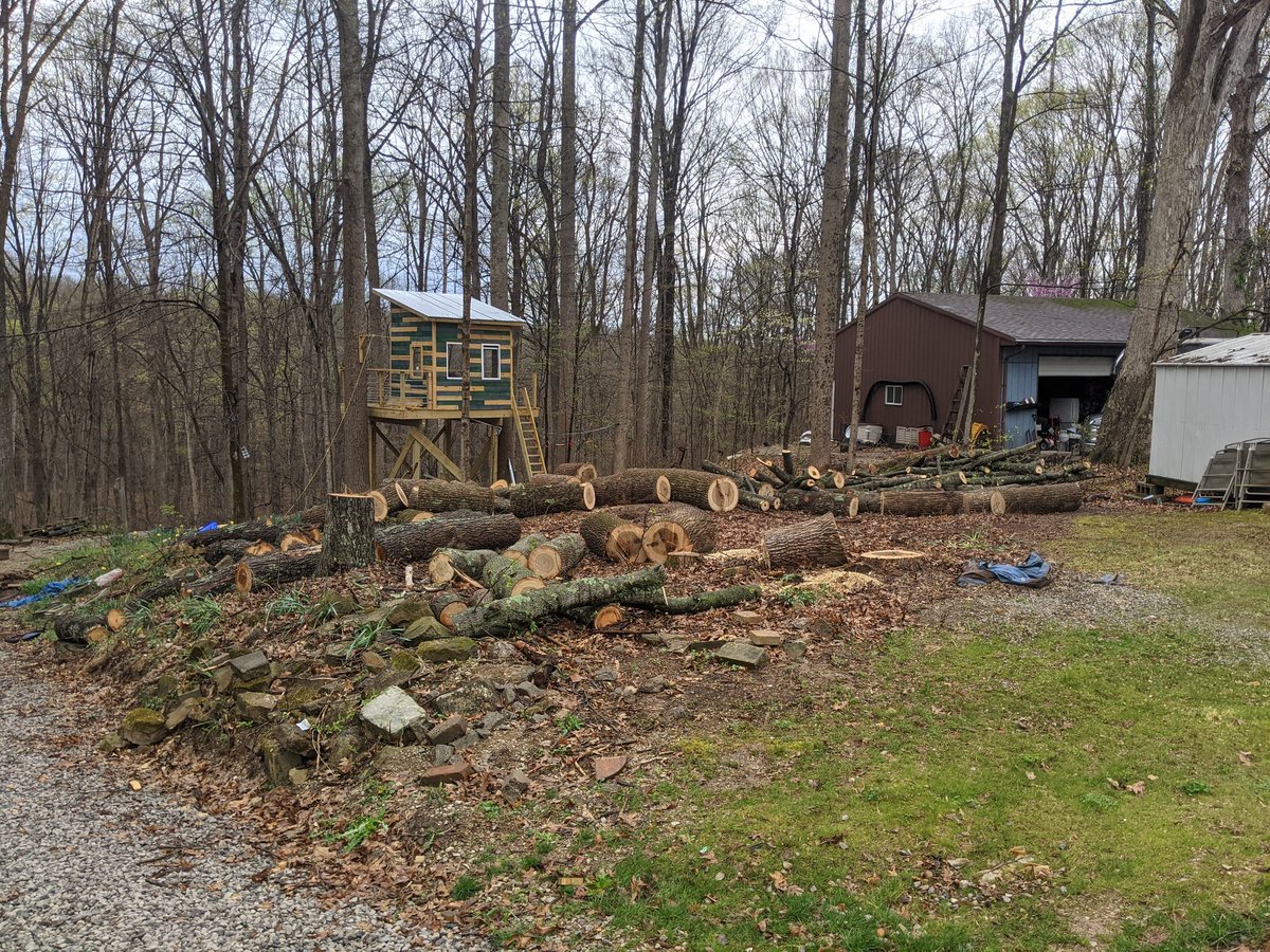 warrenwade's tweet photo. @DarthGarry Was thinking about #woodforce this morning.  Clearing some trees for a future garage.  Gotta get the husqvarna all ready to go. https://t.co/KOcyPA8TJ7