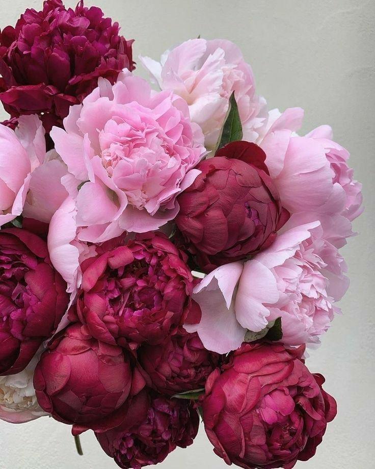 April Flowers...in case you missed the new announcements! conta.cc/39ElLQM