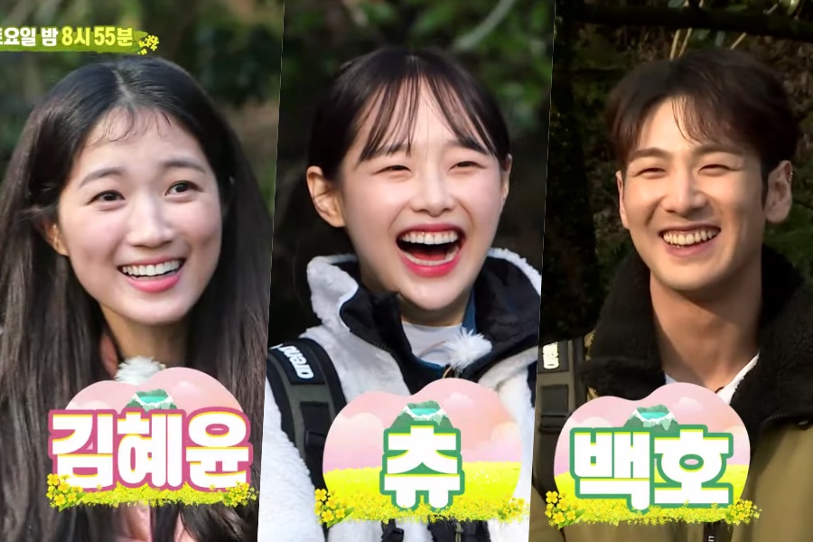 watch law of the jungle watch law of the jungle