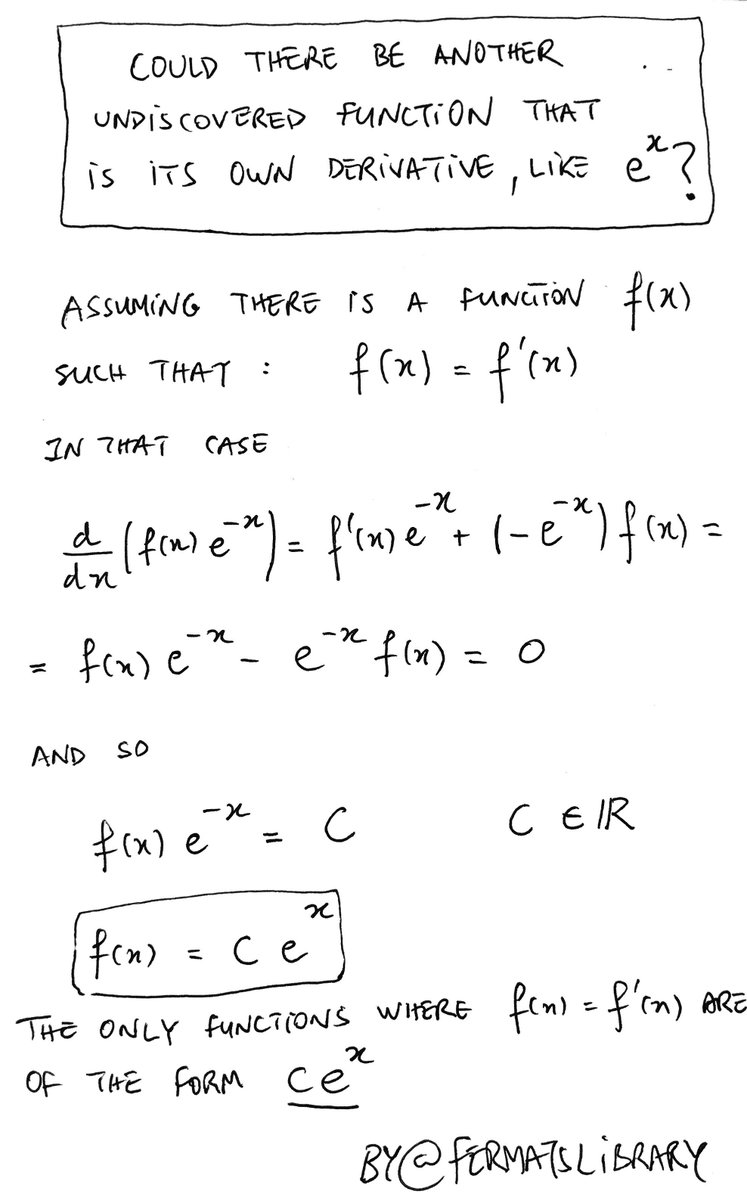 Could there be another undiscovered function that is its own derivative like eˣ?