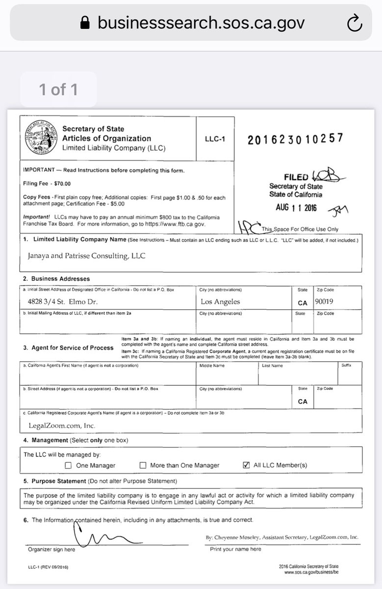 While the father of Michael Brown got little financial support from the protests over his son’s death, Patrice Cullors monetized  #BlackLivesMatter   by registering her consulting firm on Aug. 11, 2016, with the Calif Secretary of State.