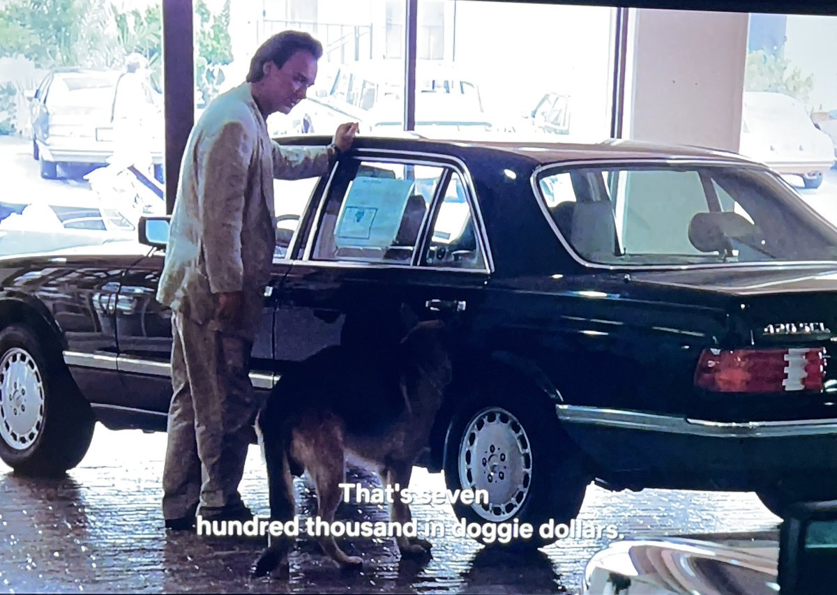 #Dogecoin Doggie dollars