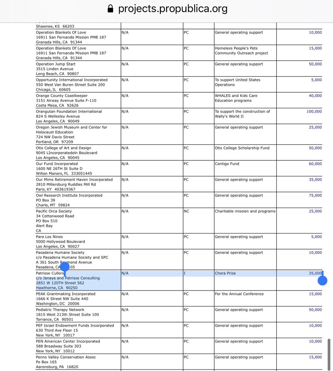 Here are examples of money this “consulting” business got. In 2018, the Annenberg Foundation paid her $35,000 for the “Chora Prize.” She won for her “Reform LA Jails” work. But was that a labor of love? The prize:  https://www.artforum.com/interview... IRS 990:  https://projects.propublica.org/nonprofit...