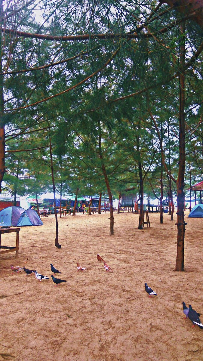 hafidBSTRD's tweet image. #shotbyphone #redminote3pro #smallpixelterror