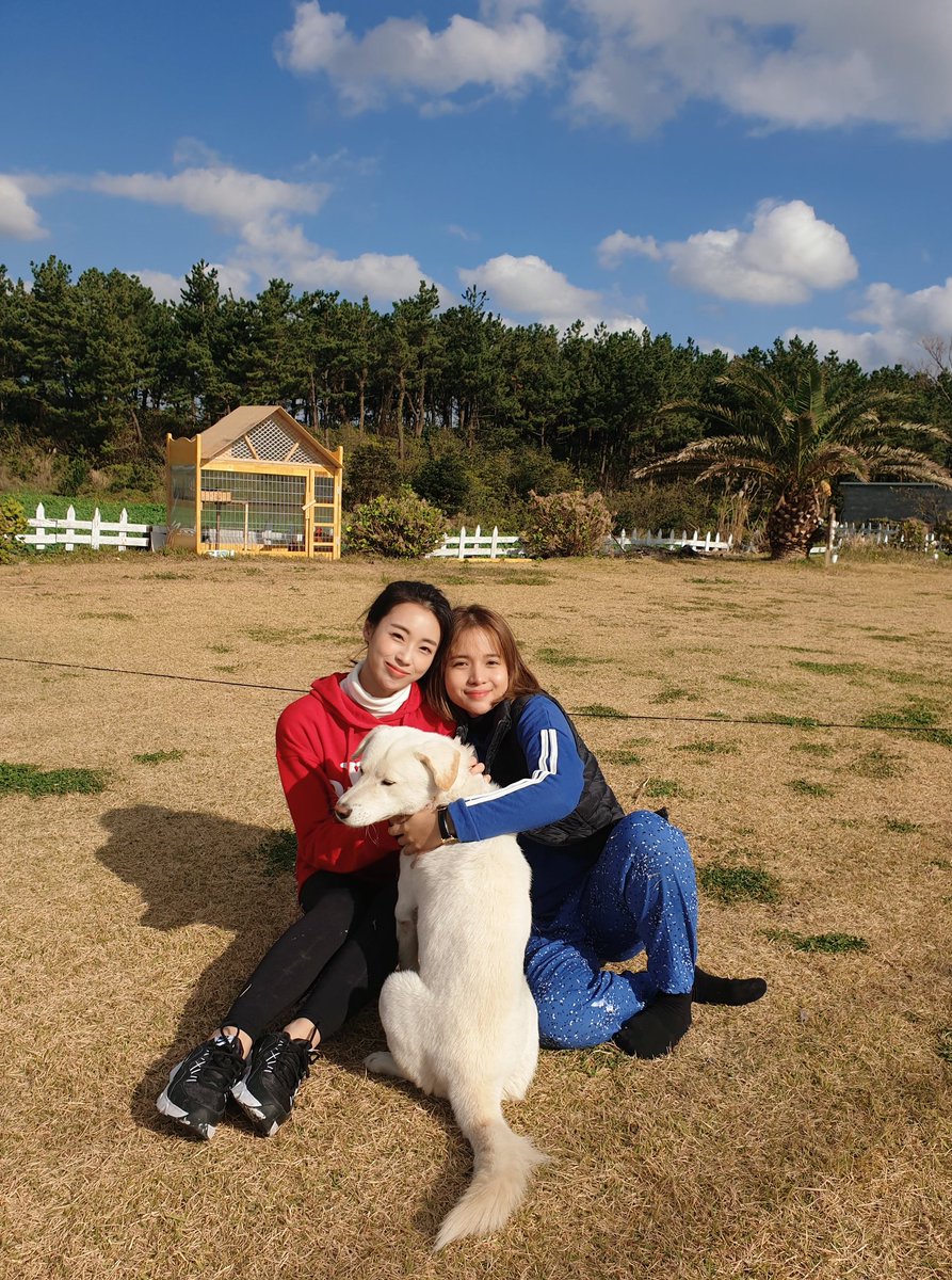 We love rabong🐶❤ photo by oppa <a href="/robertmarion/">Robi Domingo</a>  #AjaAjaJEJUit