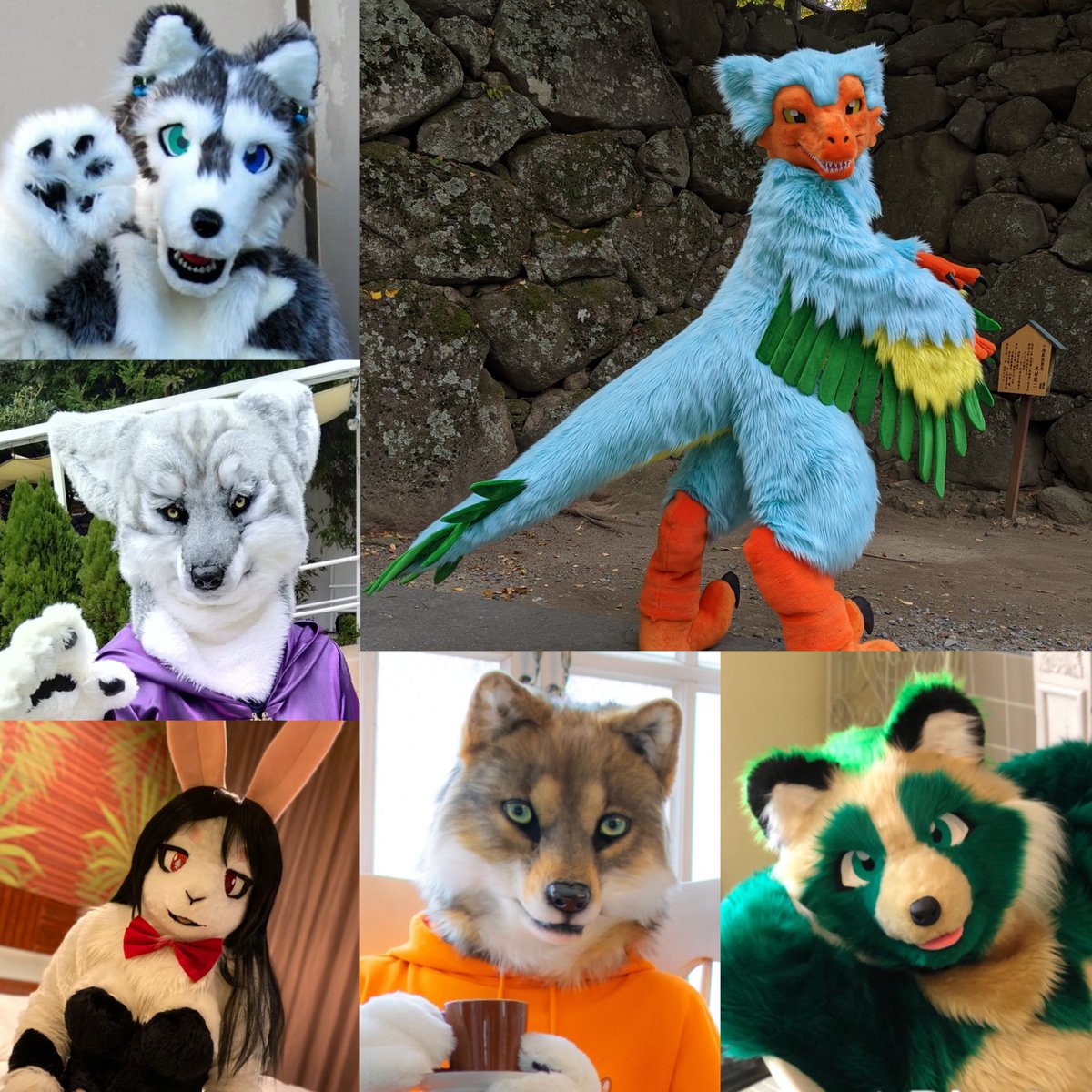 ルゥ🐶→JMoF tweet media