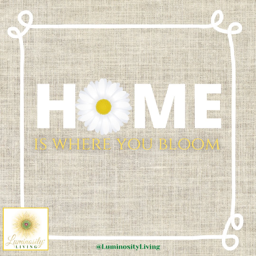 LuminosityLivin's tweet photo. ✨H🌼ME✨

#BelieveInYourOwnMagic 🌟 
#IAMLUMINOUS 🌟 #LuminosityLiving
#bloom #home #family #garden #nature #nuture #love #jardin #grow #selfawareness #success #plants #saturdayvibes #SaturdayMotivation https://t.co/Phpff5rd8J
