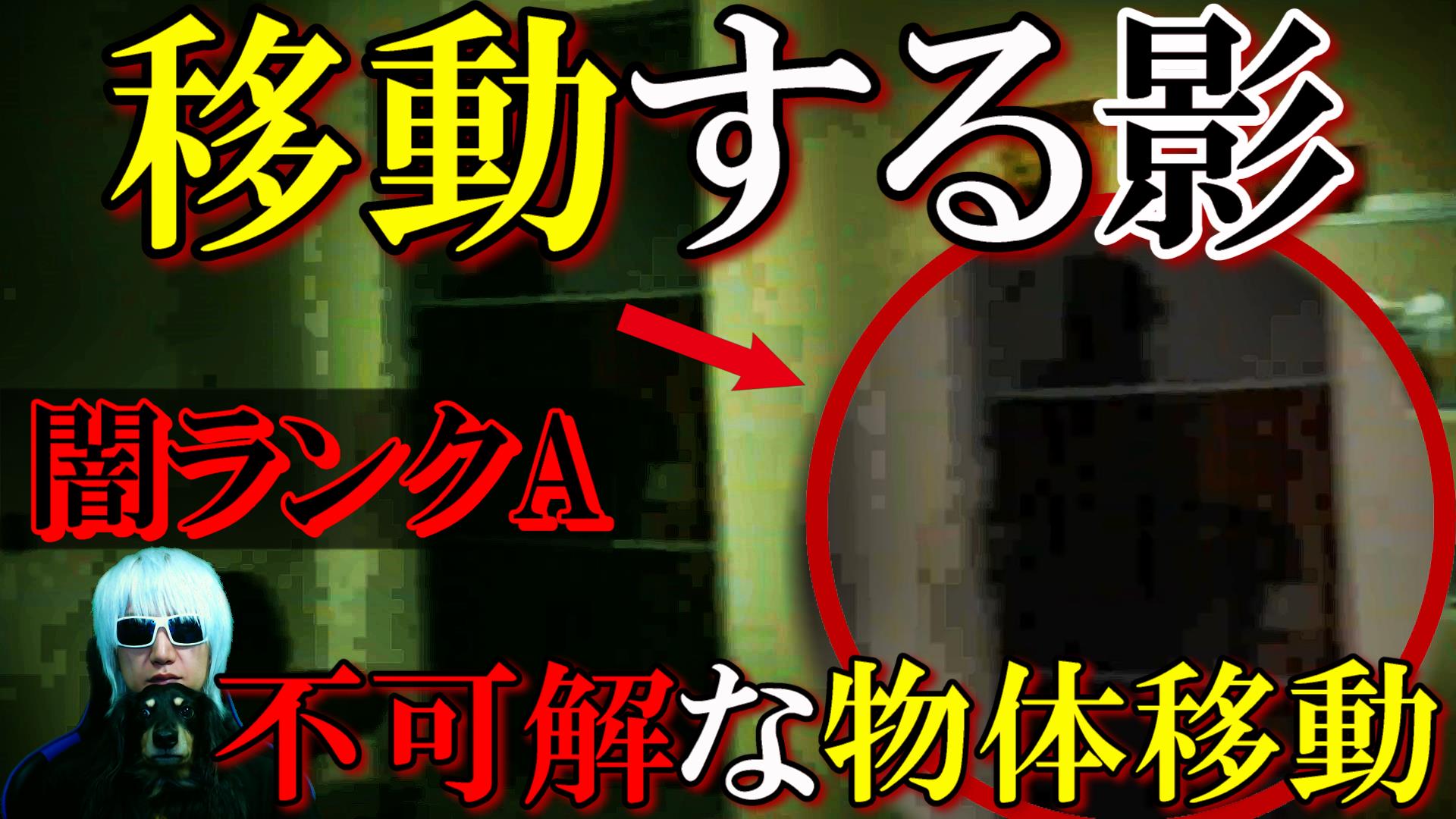 はる Haru Twitter