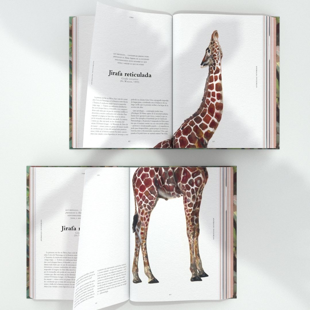 Estos días llega a las librerías uno de los libros más bonitos, y también necesarios, que hemos publicado en estos 15 años de trabajo: «Mito, vida y extinción. Animales invisibles», de <a href="/GabiMartnez/">Gabi Martínez</a> , <a href="/SerrallongaJ/">Jordi Serrallonga</a> y <a href="/JoanaSantamans/">Joana Santamans</a>.

#animalesinvisibles