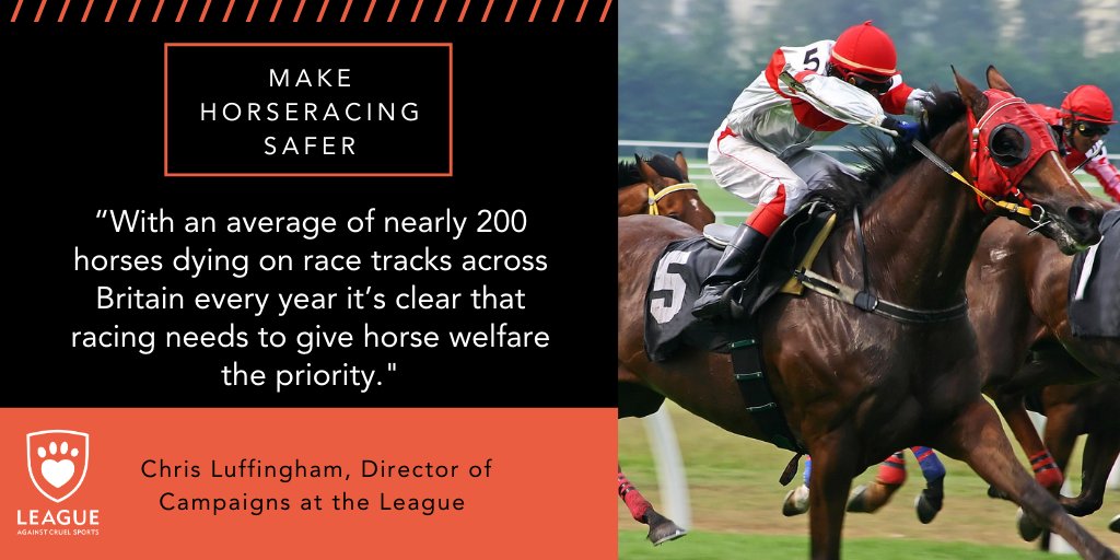 League Against Cruel Sports on Twitter "In 2019, 186 horses died on UK