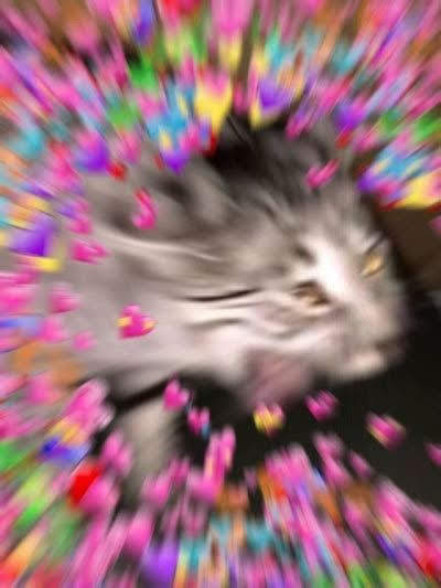 kittnarchive's tweet photo. sc REAMS. SOBS. AAAAAAAAAAAAAAAAAAAAAALSKDKFMGLHLDJFKGHK https://t.co/QNRh3wgvK1