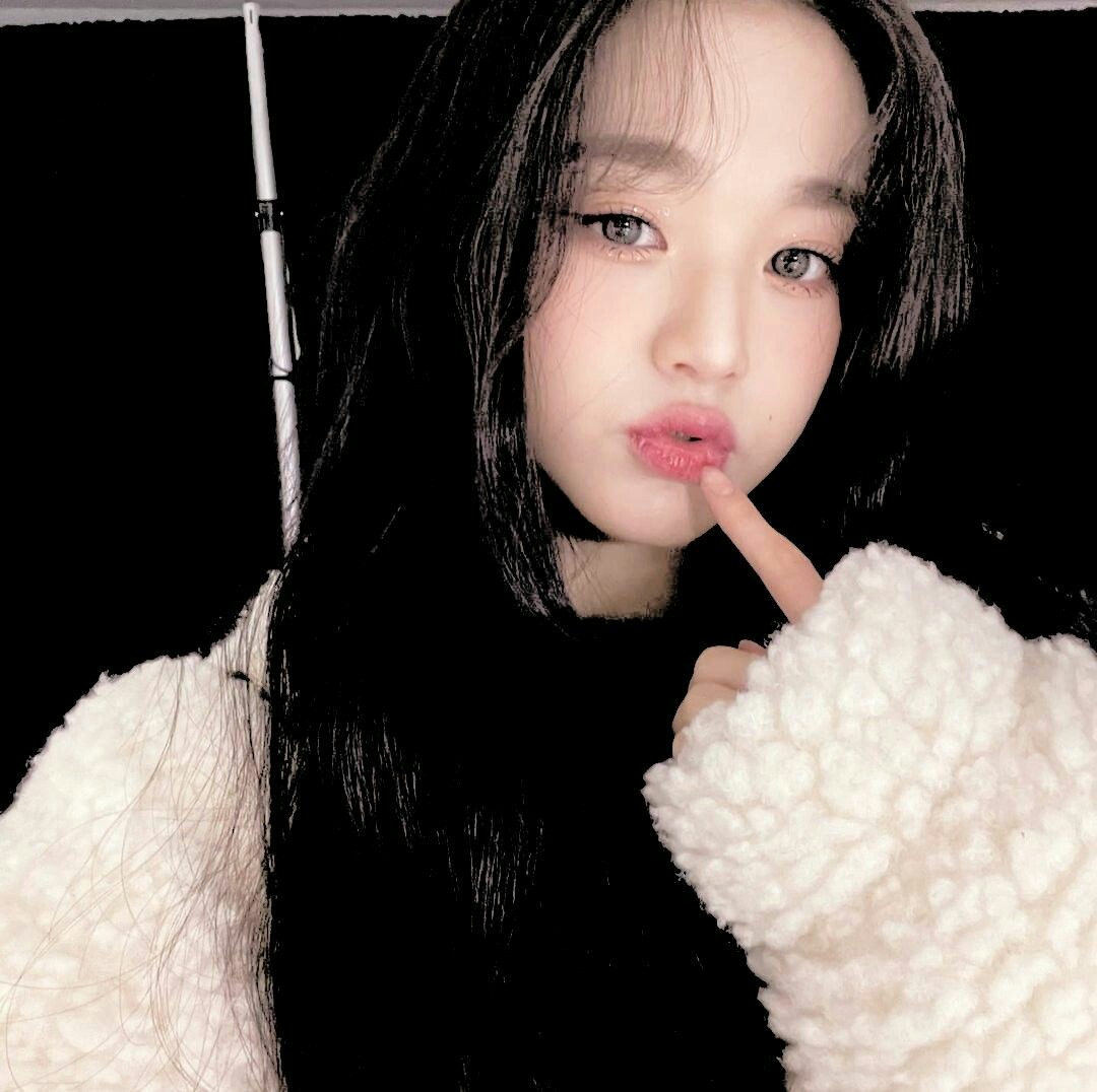 Y♡PIECY ― AGGIE REST tweet media