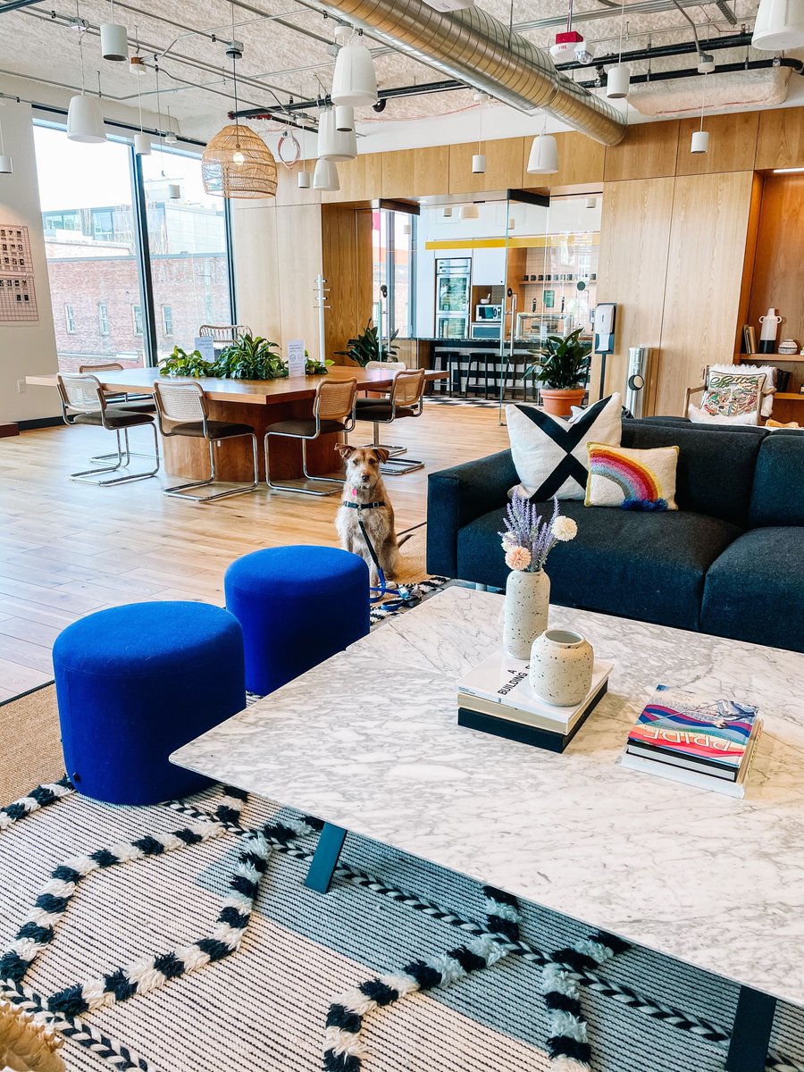 WeWork's tweet photo. Let us know when you see him. 🐶
More all-access spaces at https://t.co/c8QV3VInlQ. #dogsofwework #wework #weworkseattle 📷bluebirdsee https://t.co/XwPXHbzBJ5