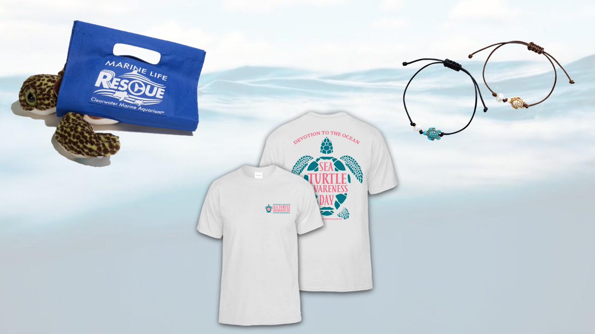 CMAquarium's tweet photo. This #SeaTurtleAwarenessDay you can make a difference by supporting our Sea Turtle Conservation program!

Make a donation to receive a sea turtle bracelet, turtle plush with rescue stretcher, or a commemorative Sea Turtle Awareness Day t-shirt: https://t.co/AJn7dYLAjI https://t.co/kuSDiH9io0